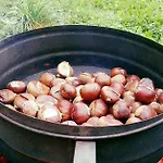 Appartamento Lo Ni Di Candolle *