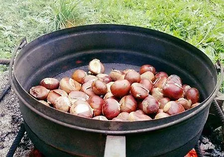 Διαμέρισμα Lo Ni Di Candolle *