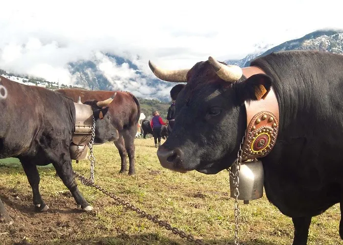 Lo Ni Di Candolle Gignod