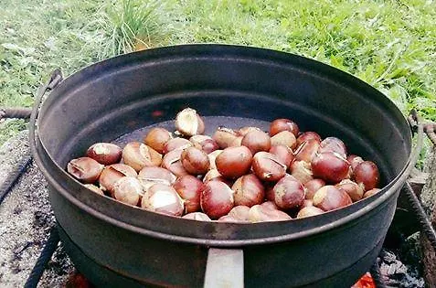 Apartment Lo Ni Di Candolle *